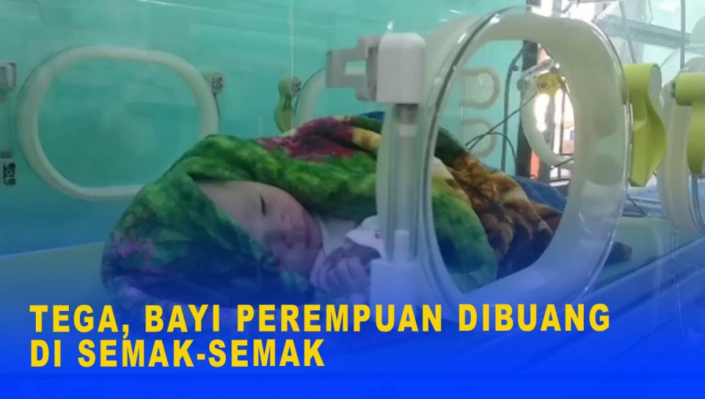 TEGA, BAYI PEREMPUAN DIBUANG DI SEMAK-SEMAK-