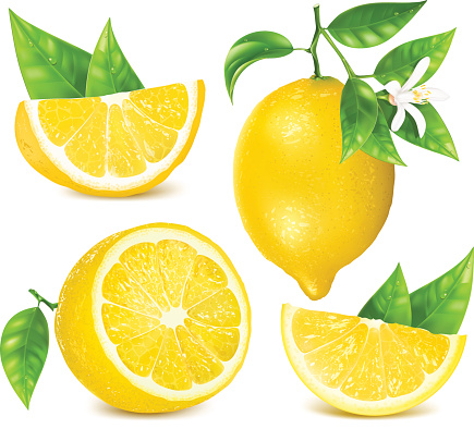 ilustrasi jeruk lemon