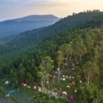 Beberapa Rekomendasi Naik Gunung Pemula di Jabar