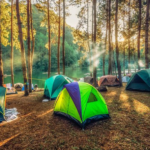 merek tenda camping terbaik