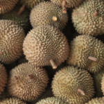 Cuan dari Bisnis Durian