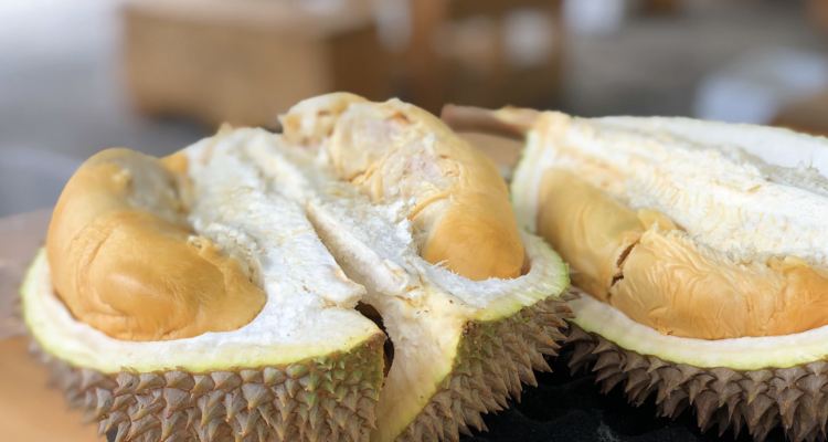 menanam durian musang king